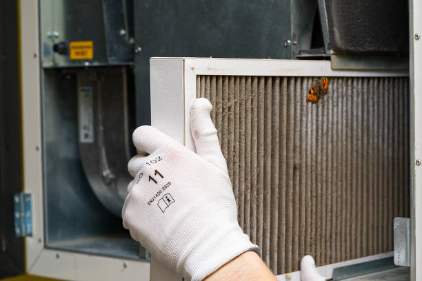 Best Air Vent Cleaning Services  in South Venice, FL