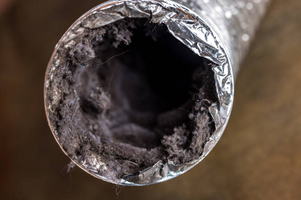 Best Best Air Duct Cleaning Company  in South Venice, FL